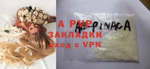 крисы Алексин