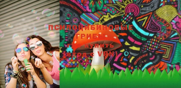 хмурый Алзамай