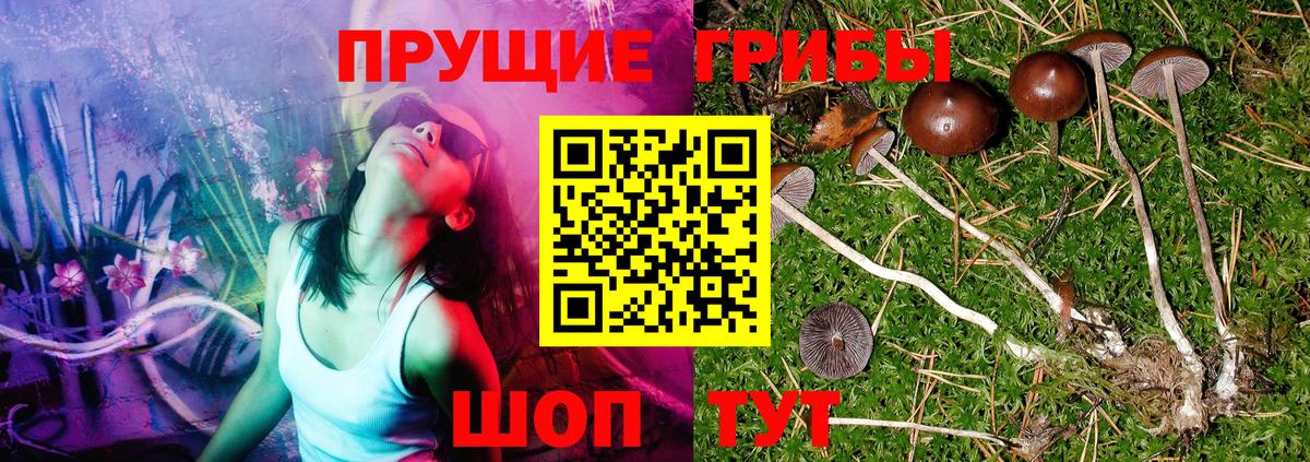 Галлюциногенные грибы MAGIC MUSHROOMS Углич