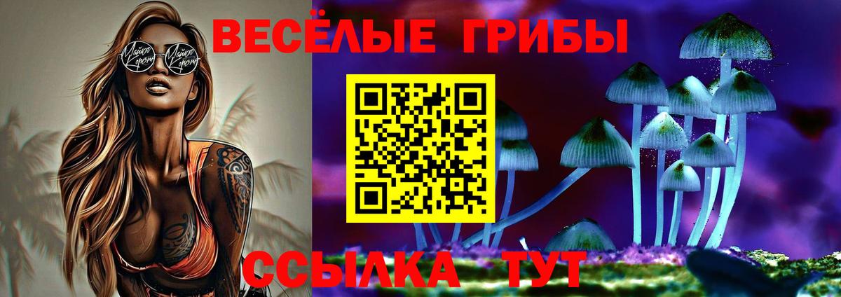 Псилоцибиновые грибы MAGIC MUSHROOMS  Вход с VPN  Углич 